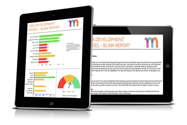 Idea Development Model Blink Report