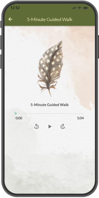 Wander gallery image