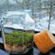 New hexagonal jar to our moss
