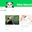 Panda Search