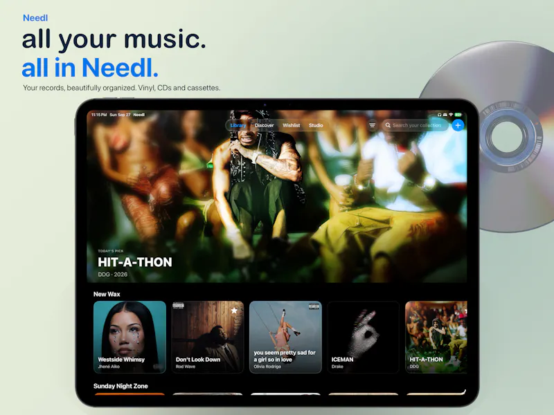 Needl Vinyl screenshot 2