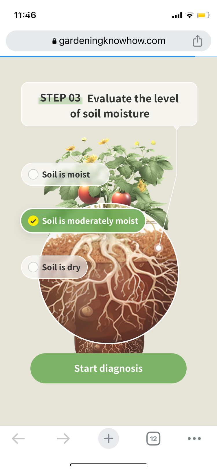 Média Identification et diagnostic des plantes - Florasnap: une application de plante rend votre plante saine 4