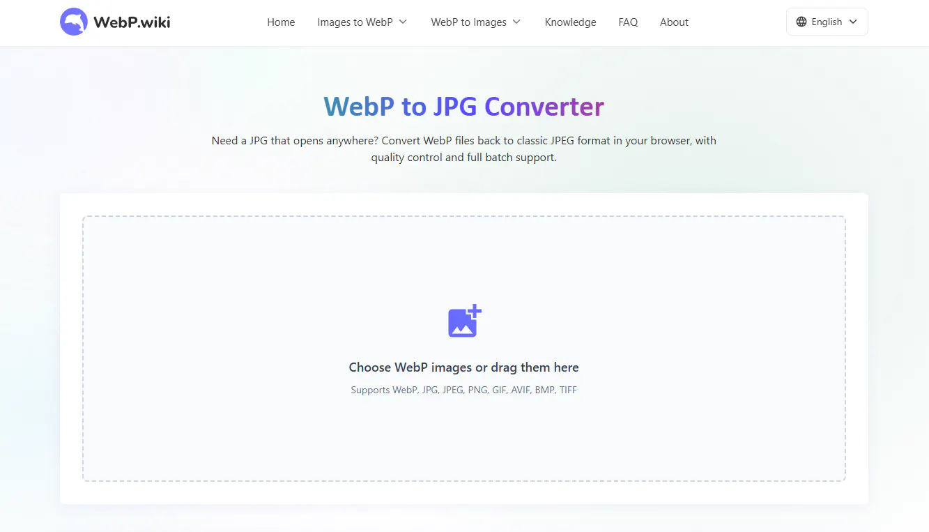 webp.wiki gallery image