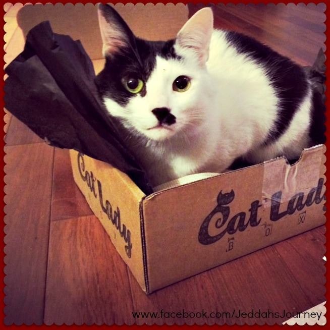 Cat Lady Box gallery image