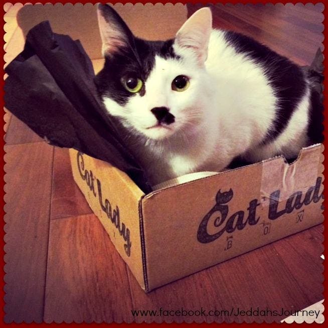 Cat Lady Box media 2