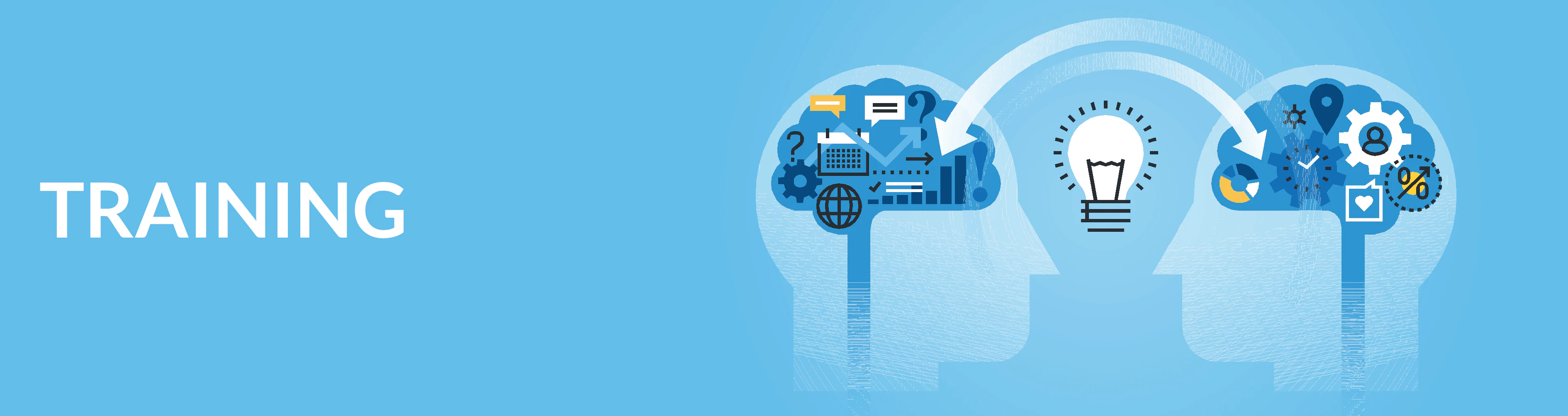 Smart Data Management Expert