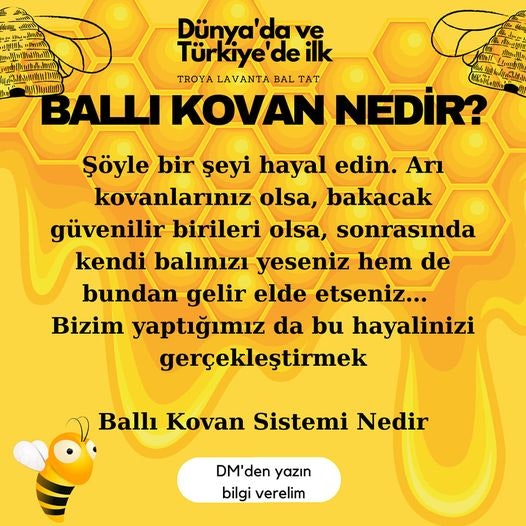 Ballı Kovan. Kovan yönetimi. Balını ye