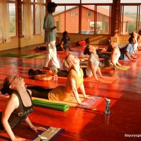 YogaTrail gallery image
