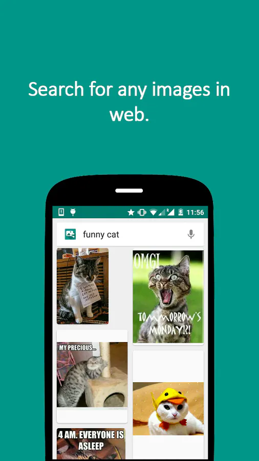 Image search N share