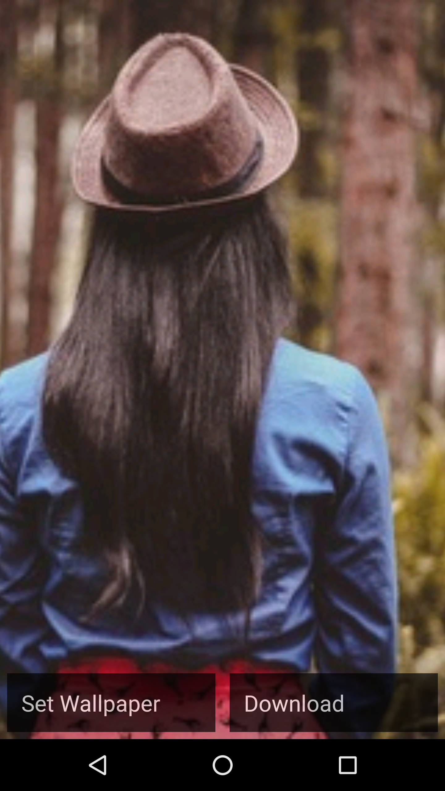 Wallmasti wallpapers gallery image