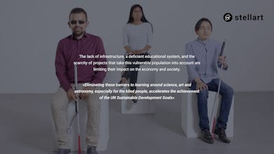 Stellart gallery image