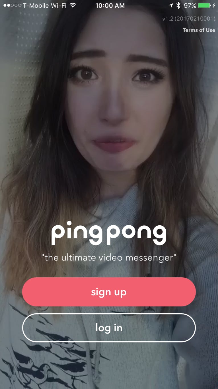 pingpong by musical.ly media 3