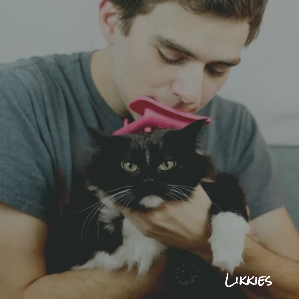 Likkies Brush