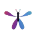 Kling Motion Control