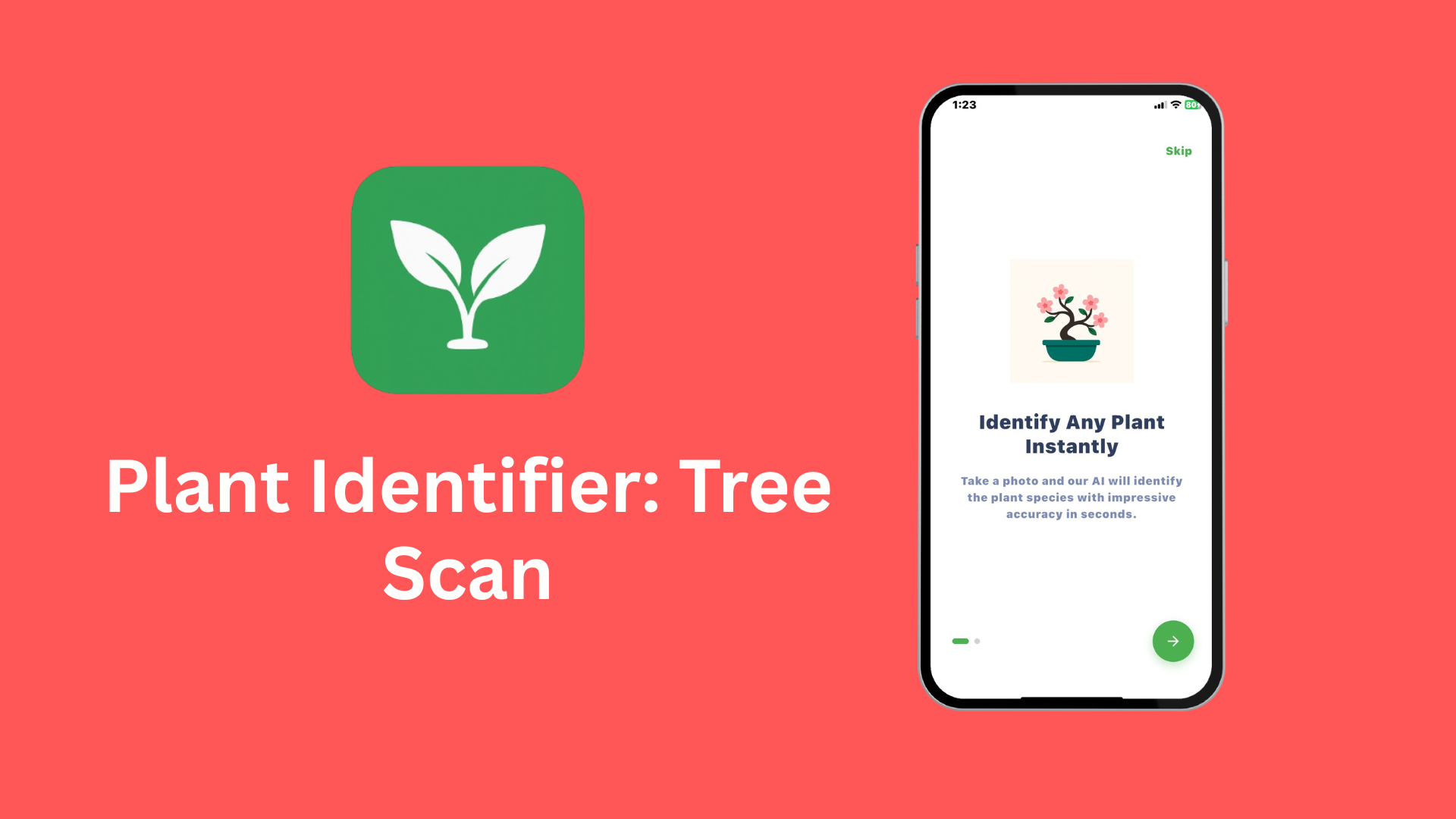 Plant Identifier gallery image