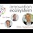 Innovation Ecosystem Curiosity, Clean Cows and Organisational DNA