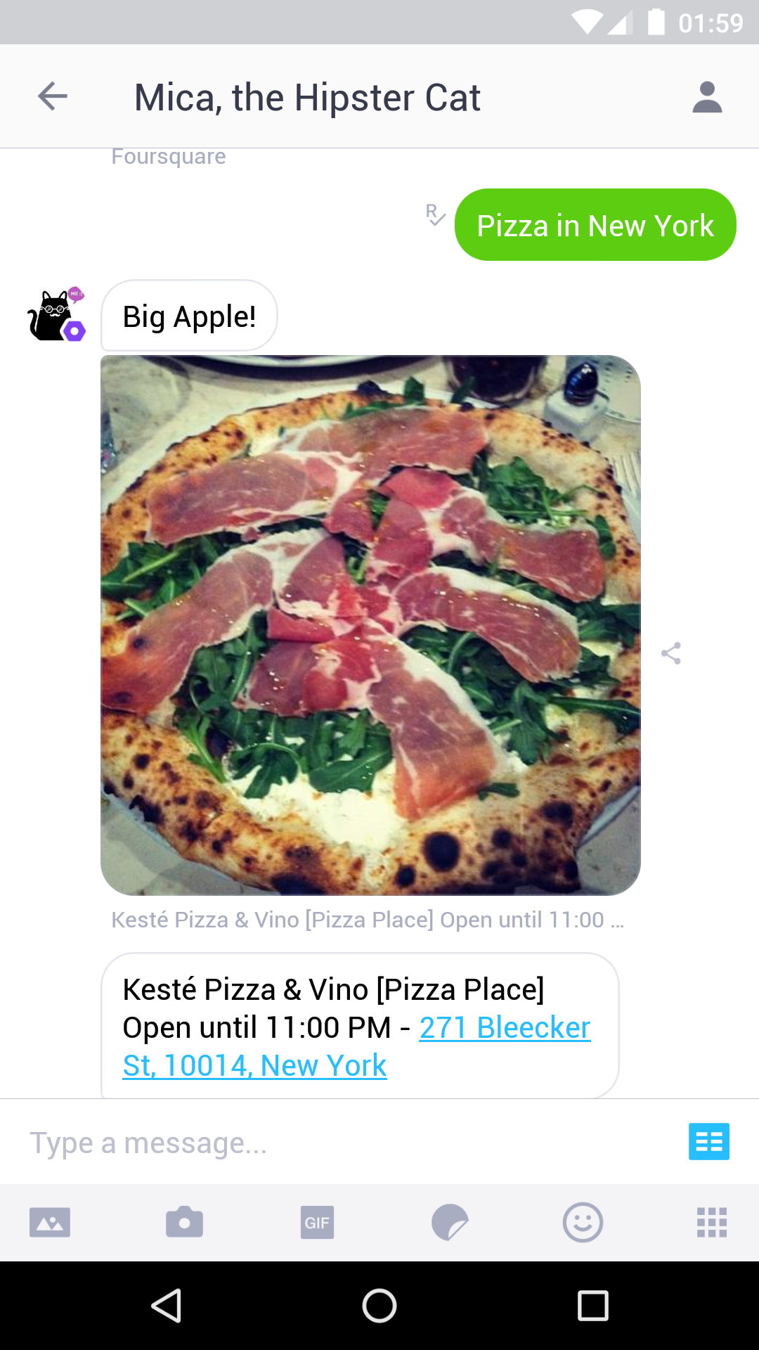 Mica, the Hipster Cat Bot on Kik gallery image