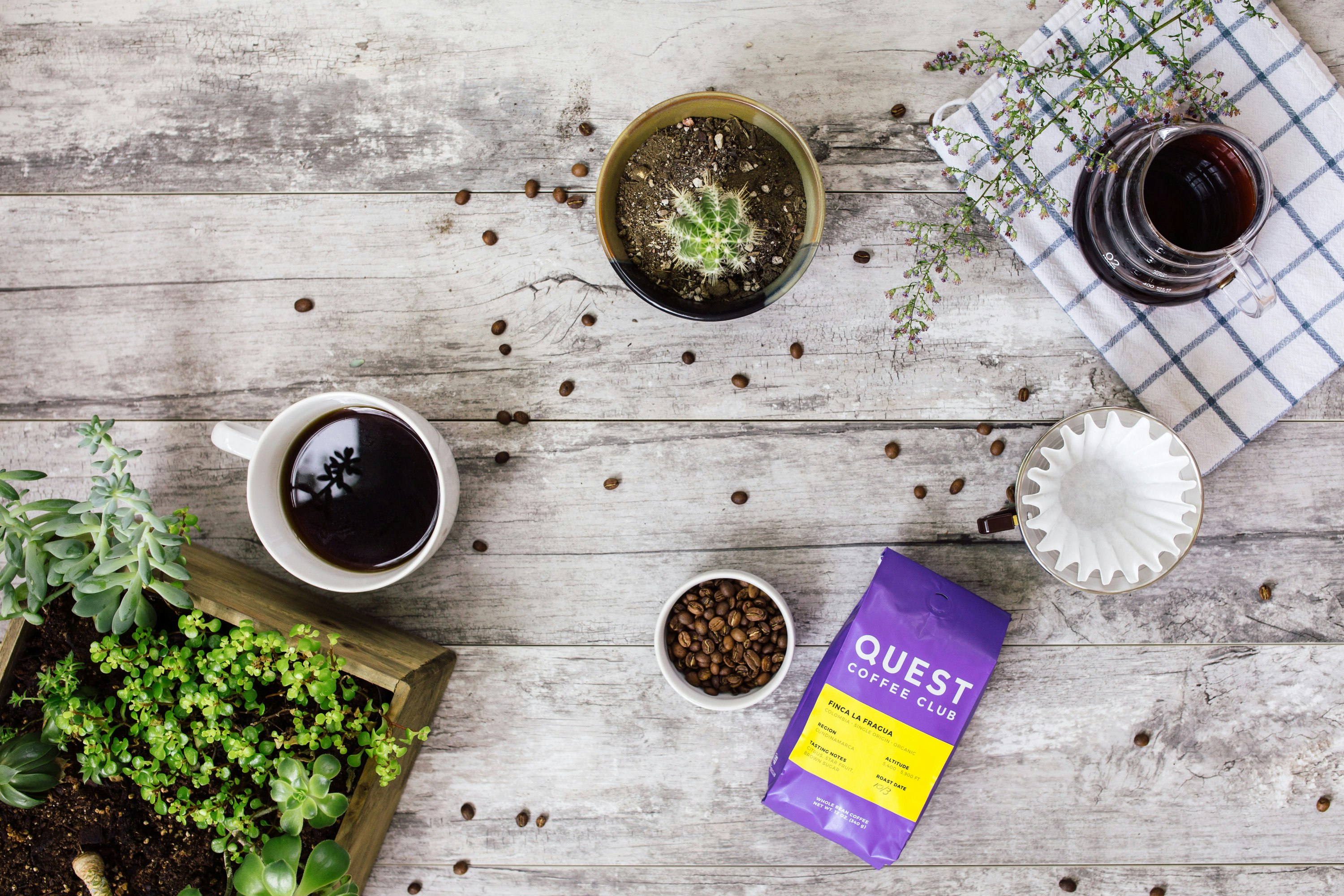 Quest Coffee Club gallery image