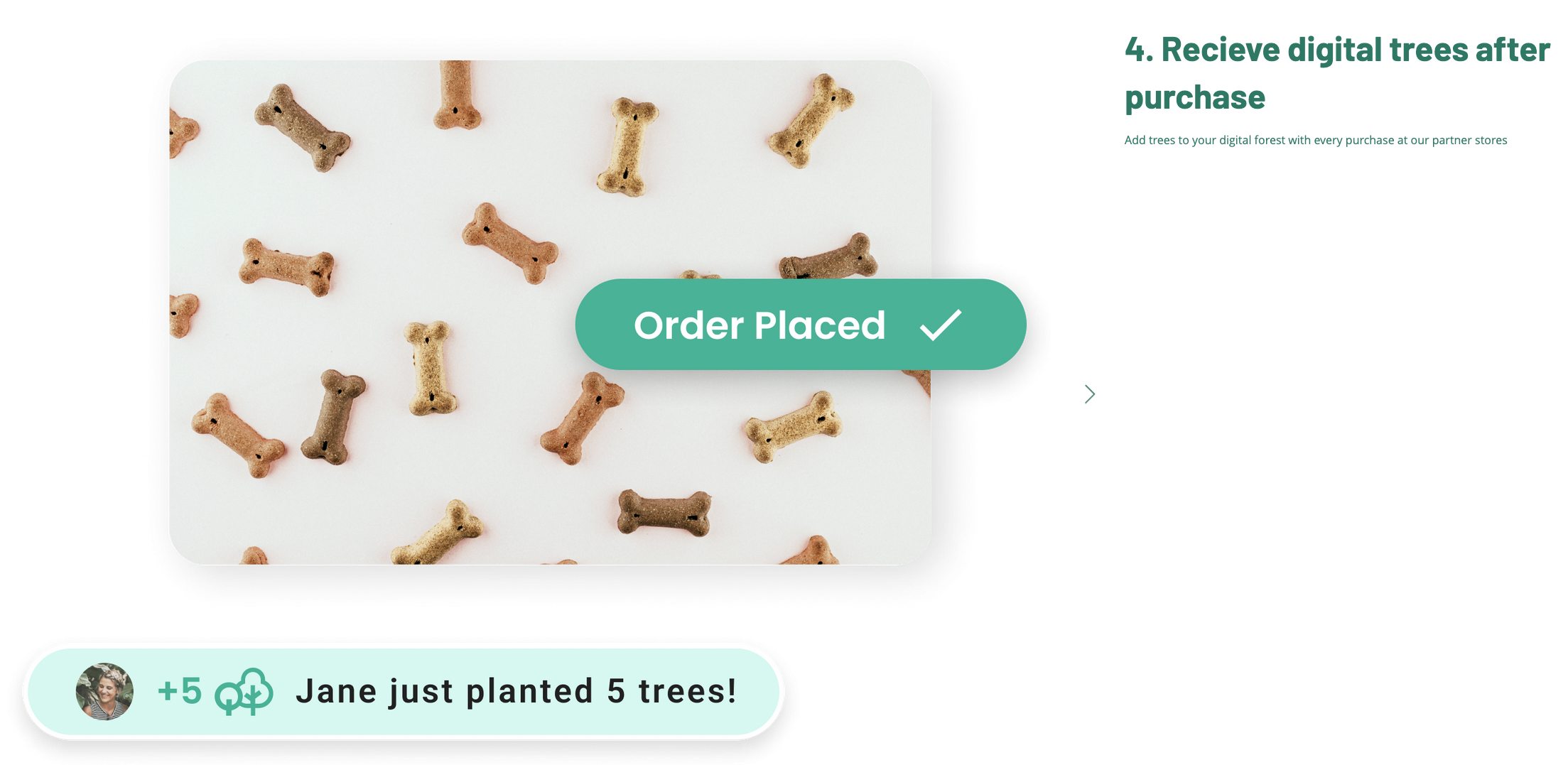Media Treevity 6