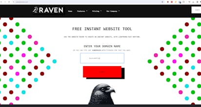 Website Raven gallery image