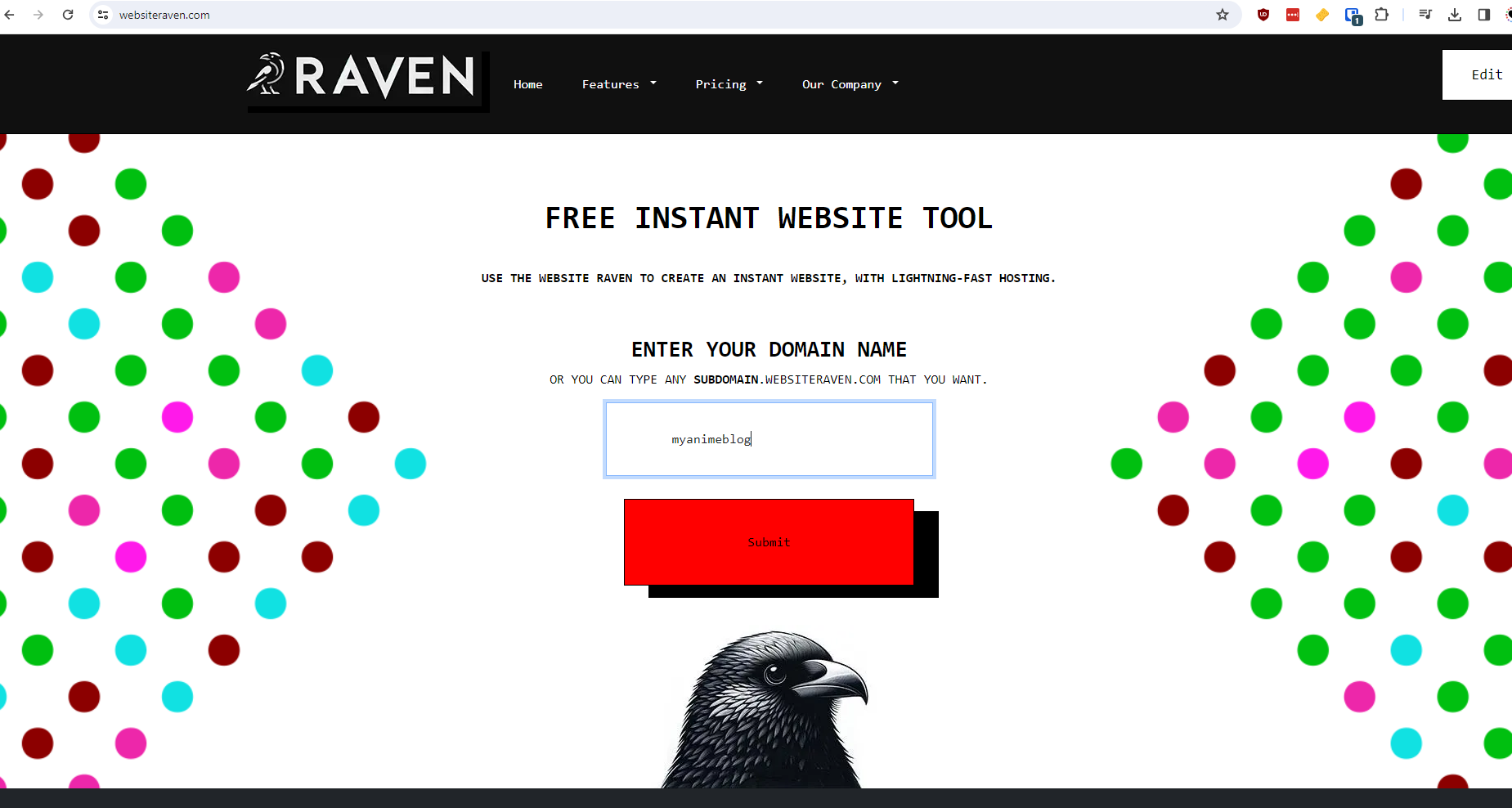 Web Sitesi Raven media 2