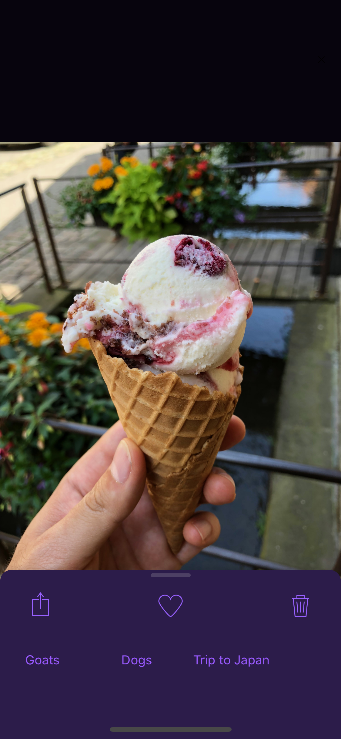 Picassort gallery image