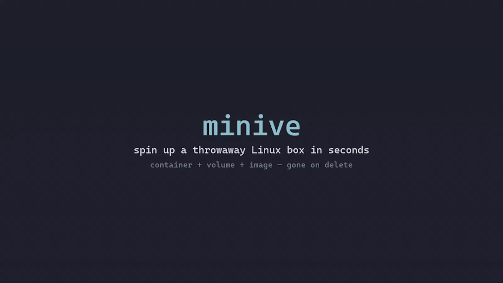 miniVE screenshot 1