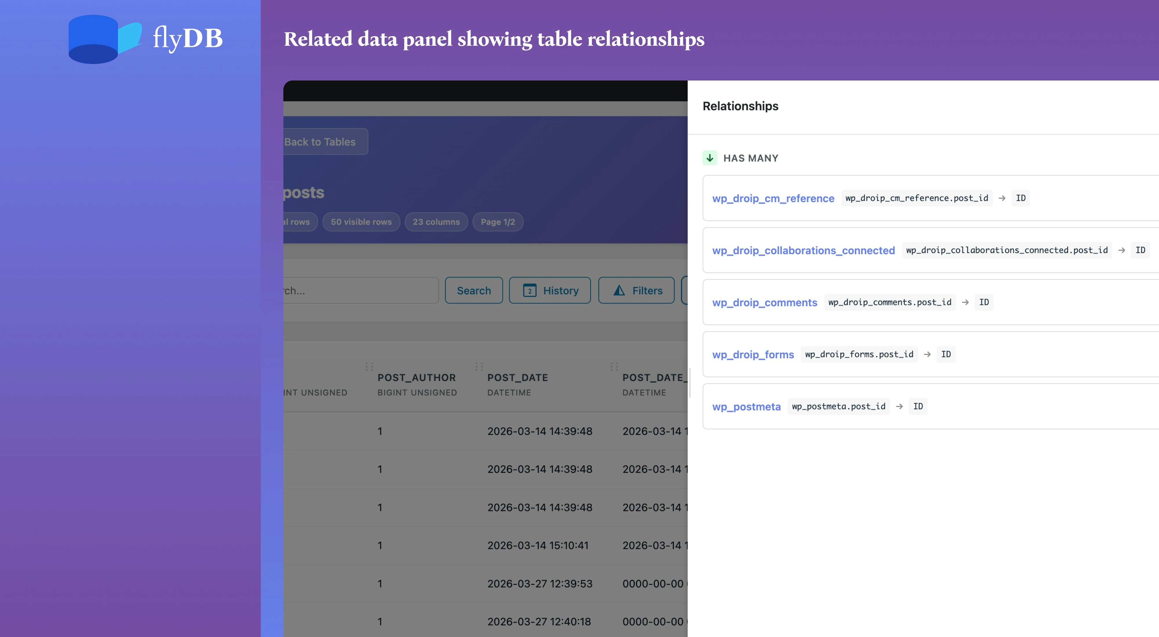 FlyDB – Database Explorer for WordPress gallery image