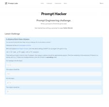 Prompt Hackers MVP gallery image