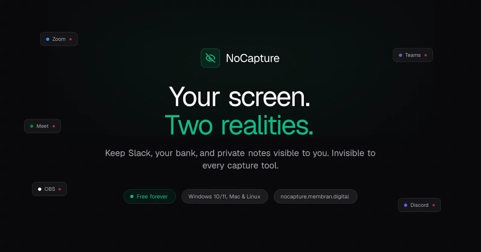 NoCapture screenshot 1