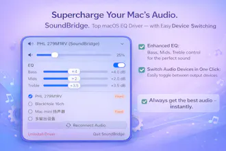 SoundBridge gallery image