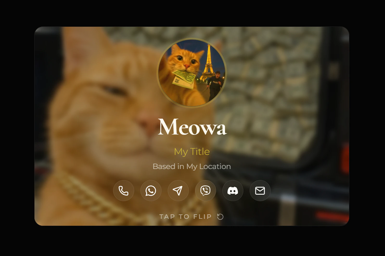 Digital Business Card screenshot 8