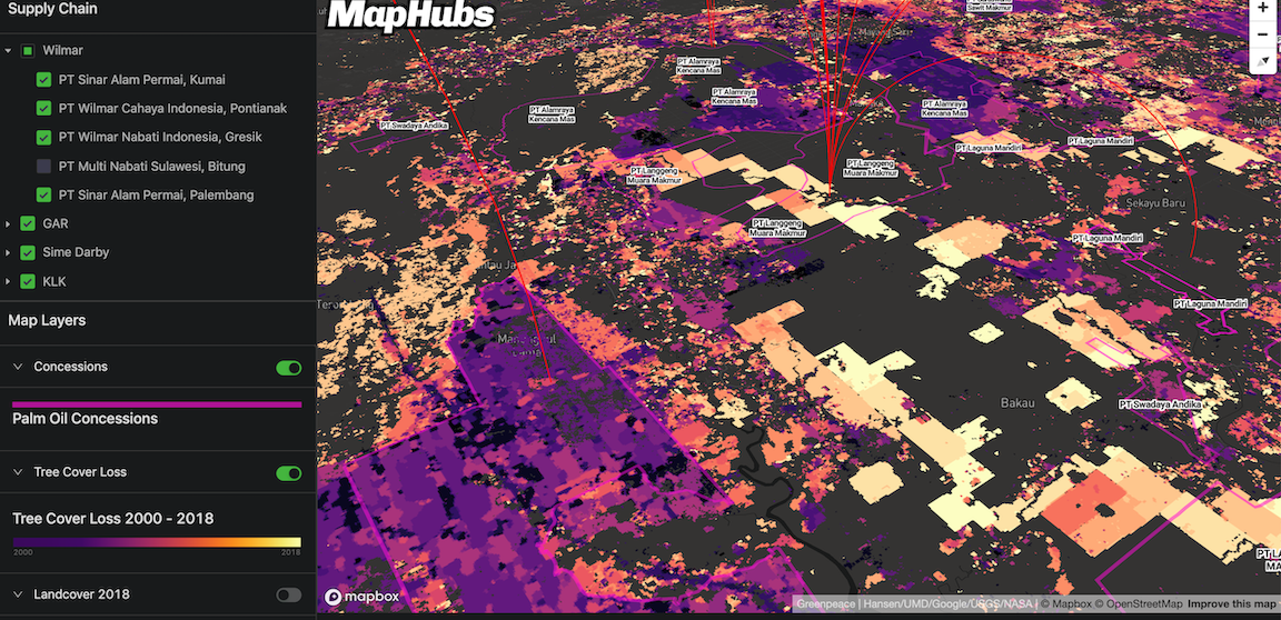 Forest Report gallery image