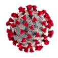 Covid19