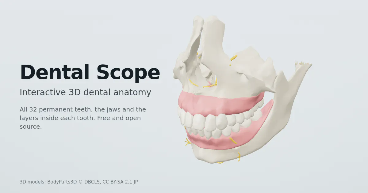 Dental Scope gallery image