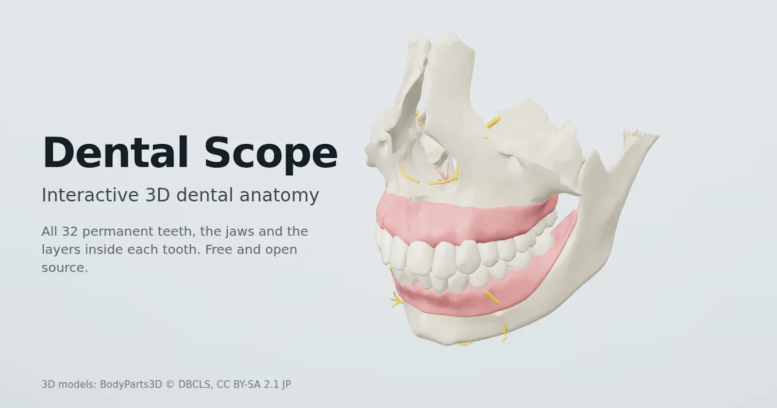 Dental Scope screenshot 2