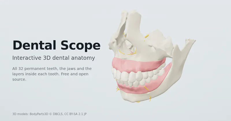 Dental Scope screenshot 2
