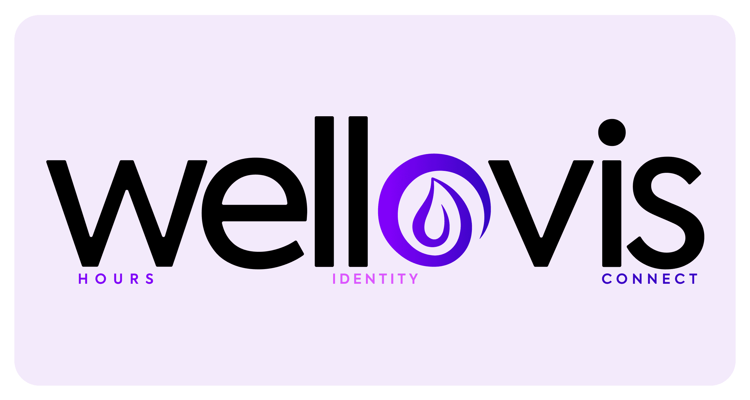 Wellovis — The therapy practice platform gallery image