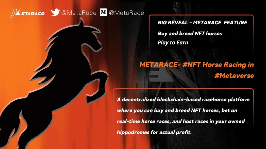 MetaRace gallery image