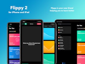 Flippy 2 gallery image