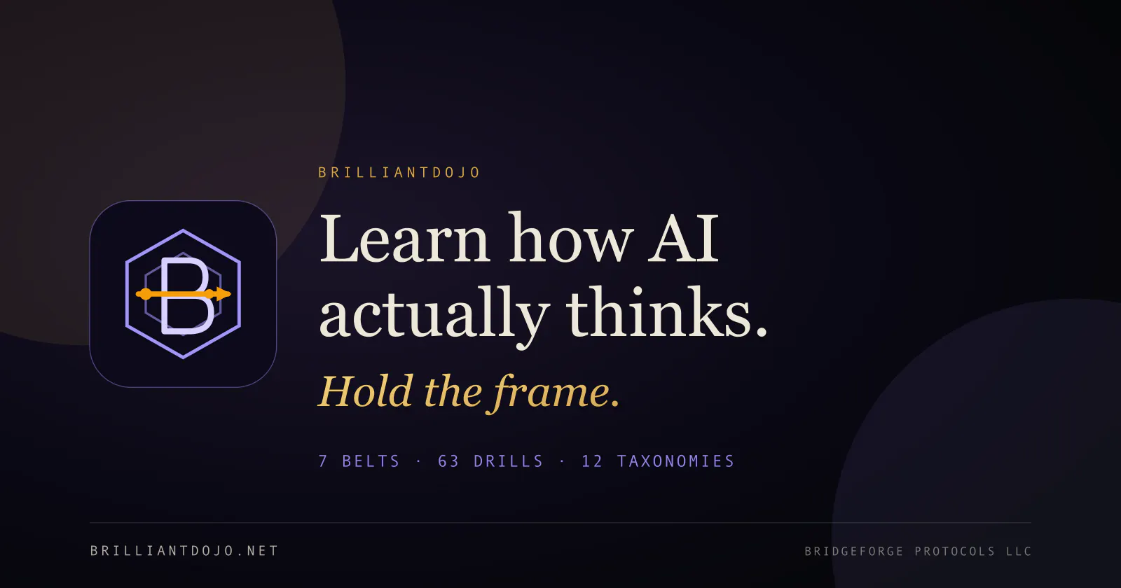 BrilliantDojo screenshot 1