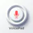 VoicePad AI