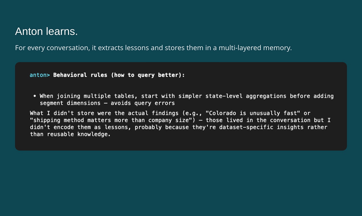 MindsDB Anton gallery image