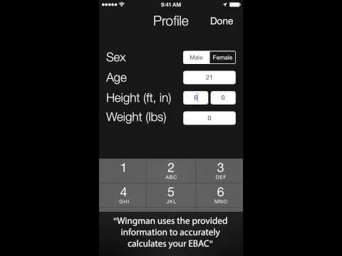Wingman gallery image