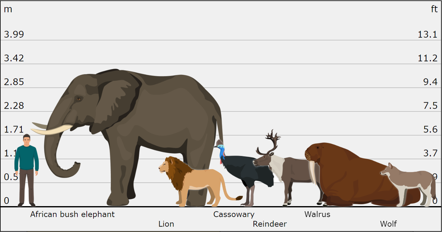 Animal Size Comparison Tool - Compare the size of animals on chart media 1