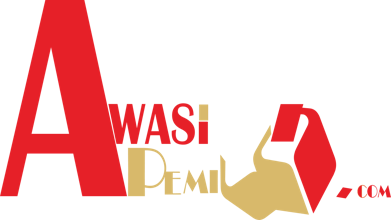 Information About Election and Politics gallery image