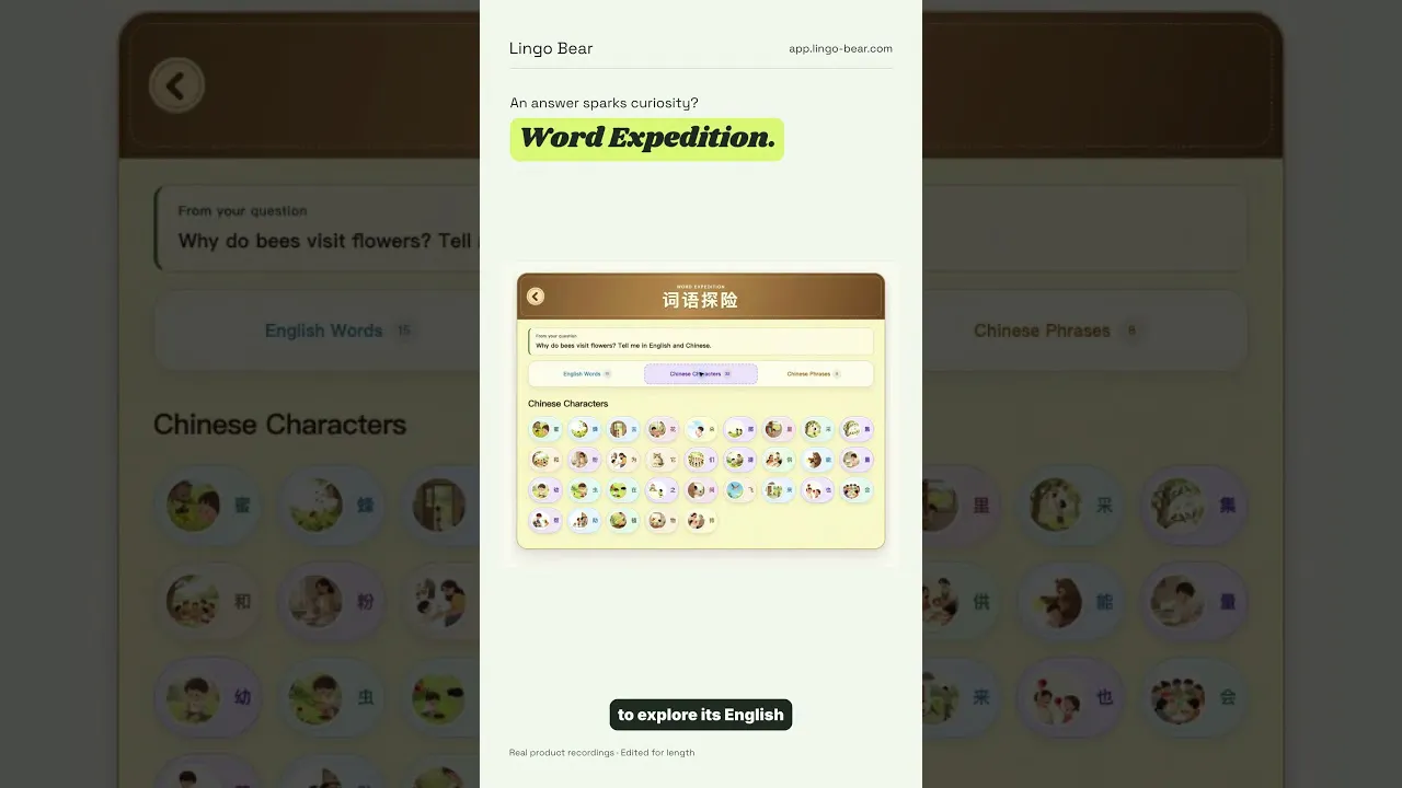 Lingo Bear gallery image