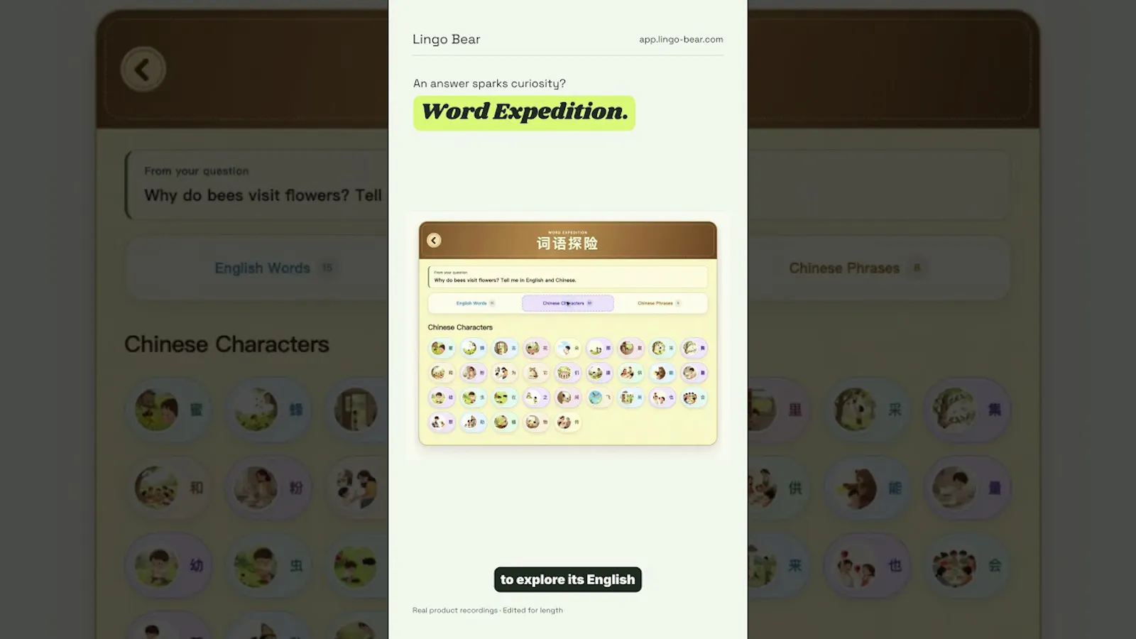 Lingo Bear screenshot 1 (video preview)