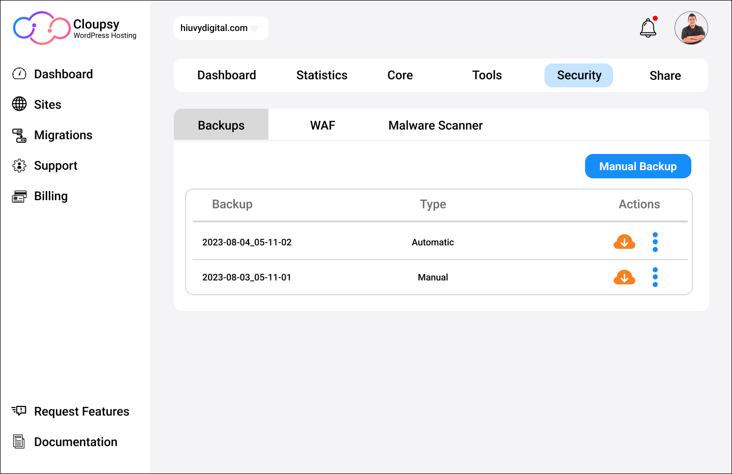 Cloupsy WordPress Hosting media 7