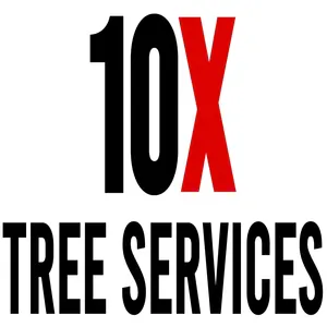 10X Tree Services